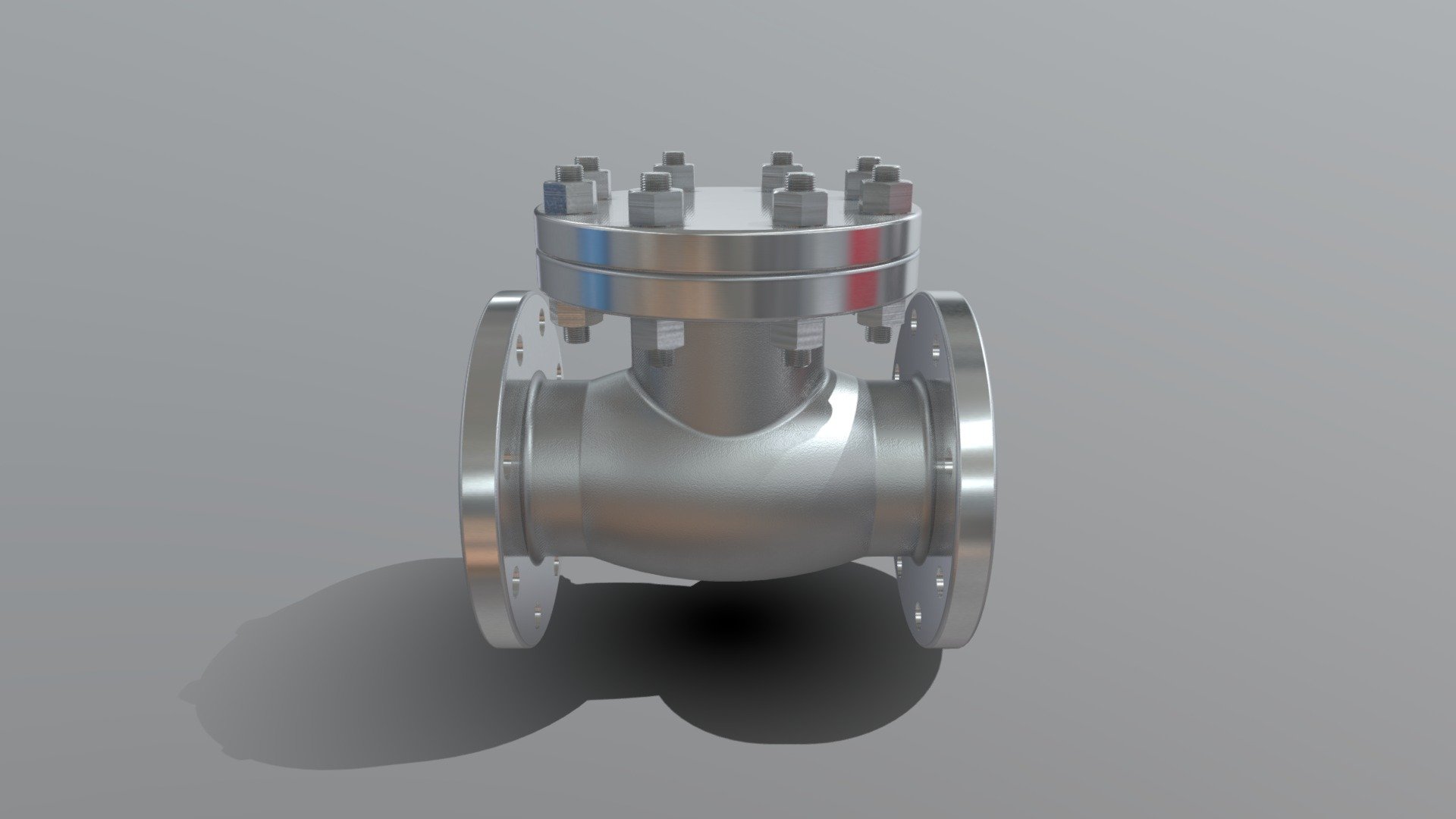 1 Flanged Check Valve With Marking
