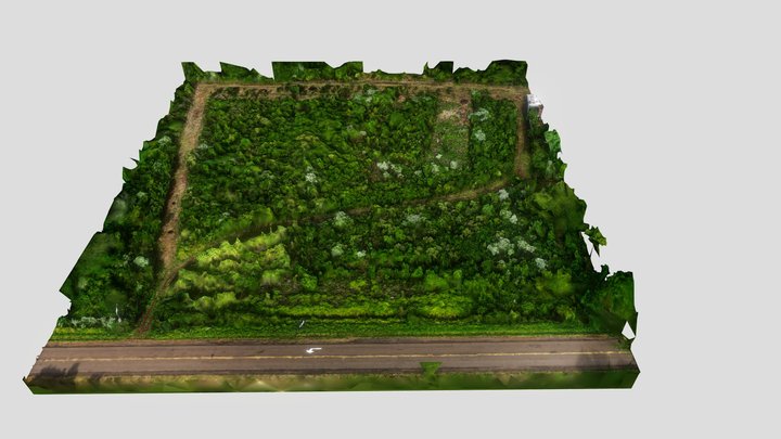 lotedetail_Model_4 3D Model