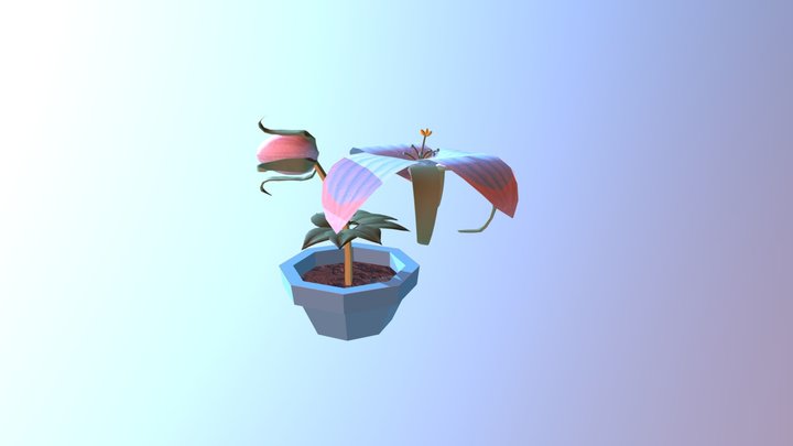Lily Finished 2 3D Model