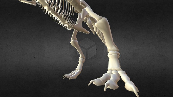 T-Rex Bones 3D Model