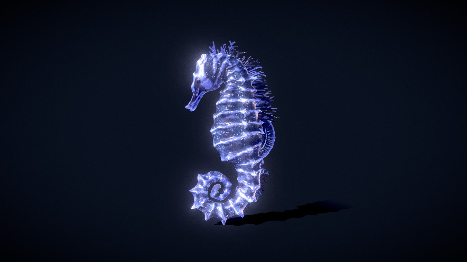 Seahorse