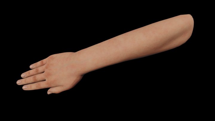 Right Hand 3D Model