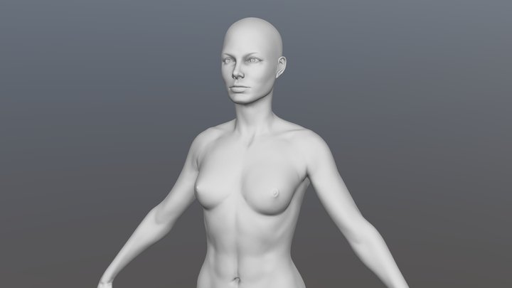 Featured image of post Anatomy Female Torso Reference Sagital cross section incredibly realistic skin eyes hair