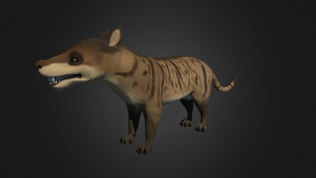 Test Mesonyx 3D Model