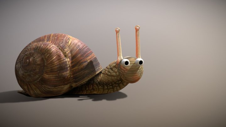 Insurance Snail 3D Model