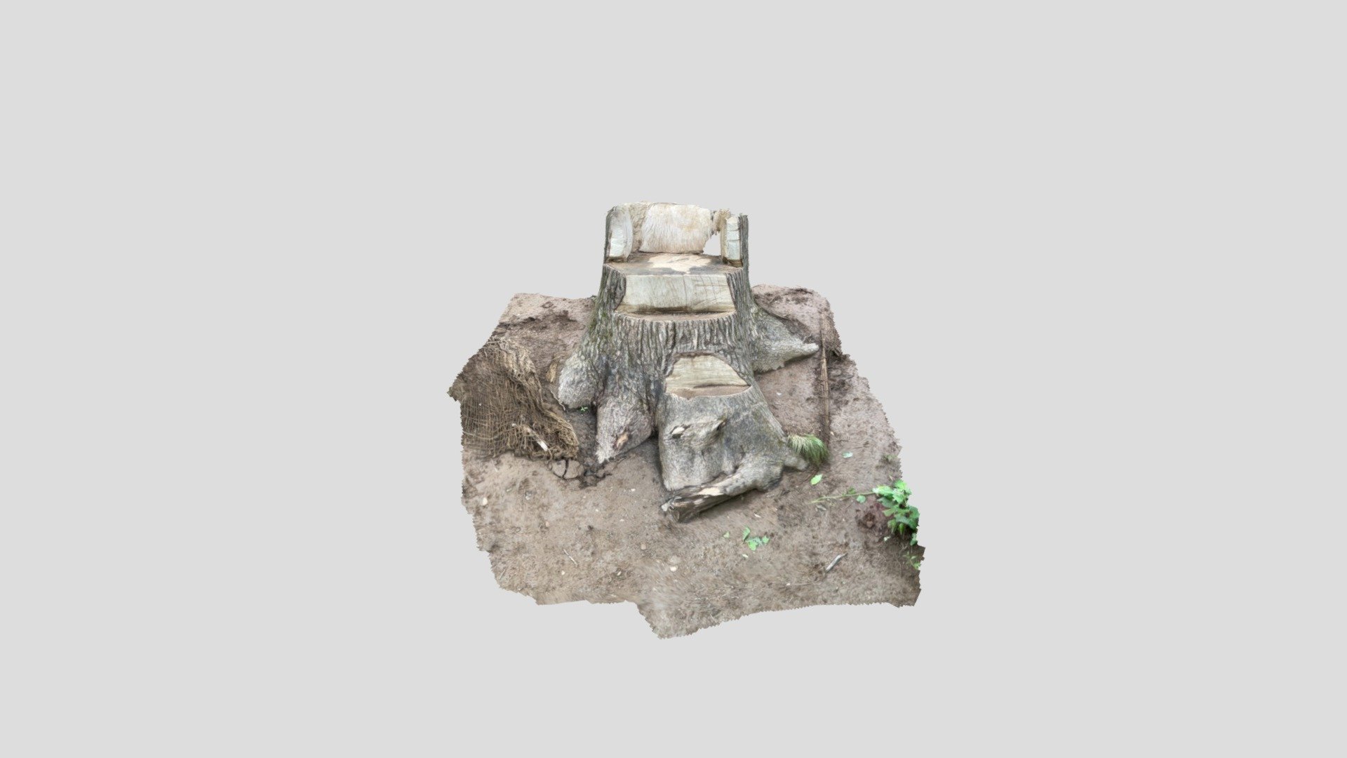 Stump seat