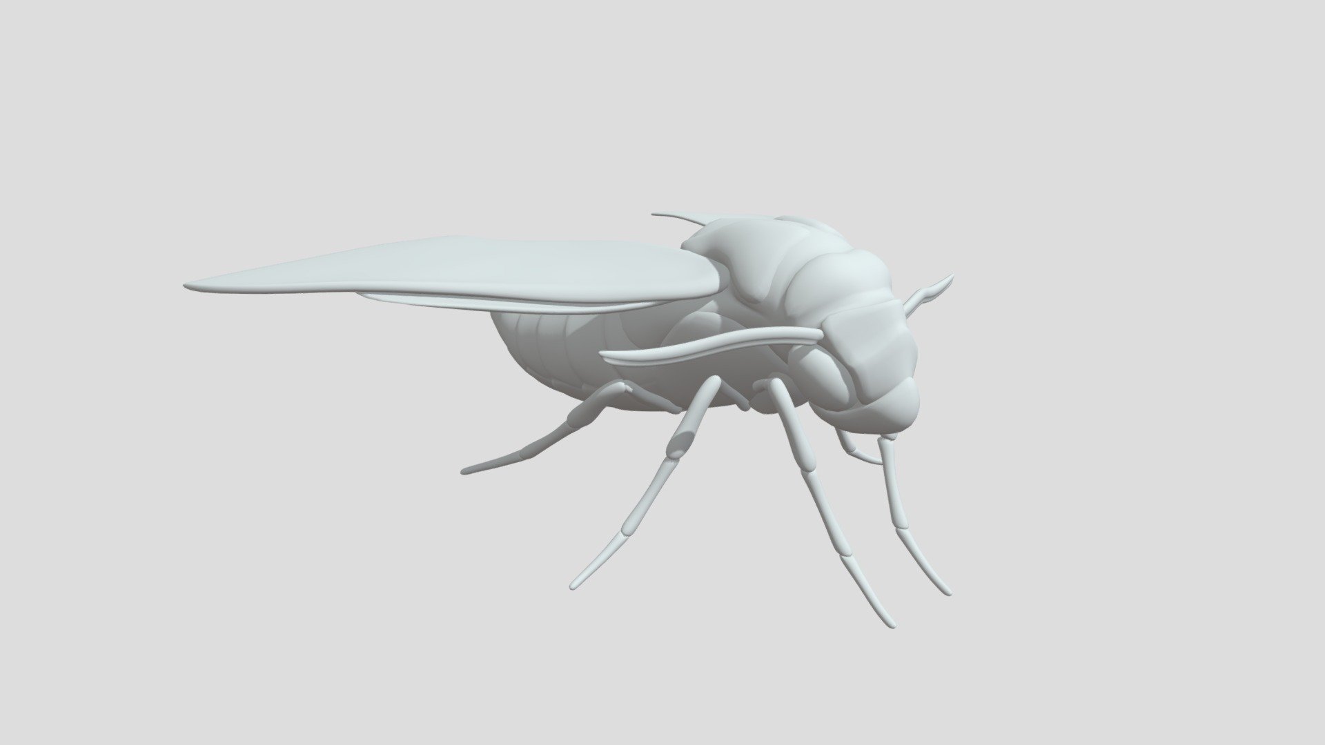 Oleander Hawk Moth (WIP Model)