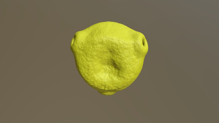 Birch pollen 3D Model