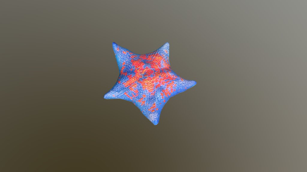 Blue Starfish