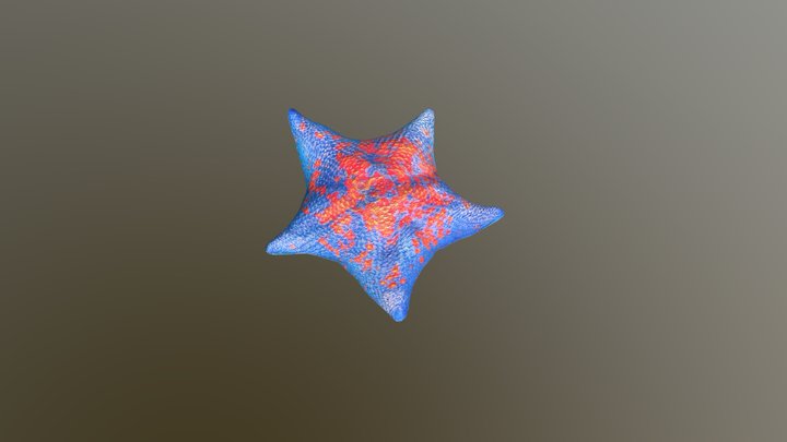 Blue Starfish – Free 3D Model STL