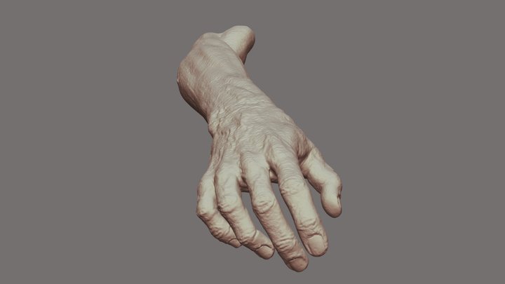 Male Hand N Forearm in a "REACHING OUT!" pose 3D Model