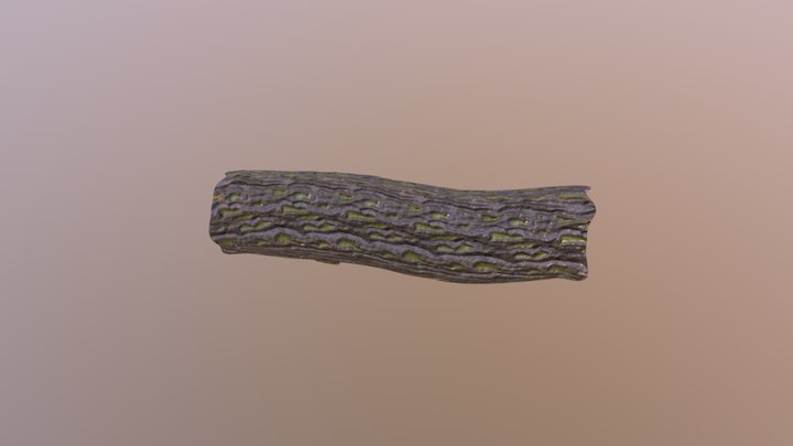 Assignment 2_Model 12_Log 3D Model