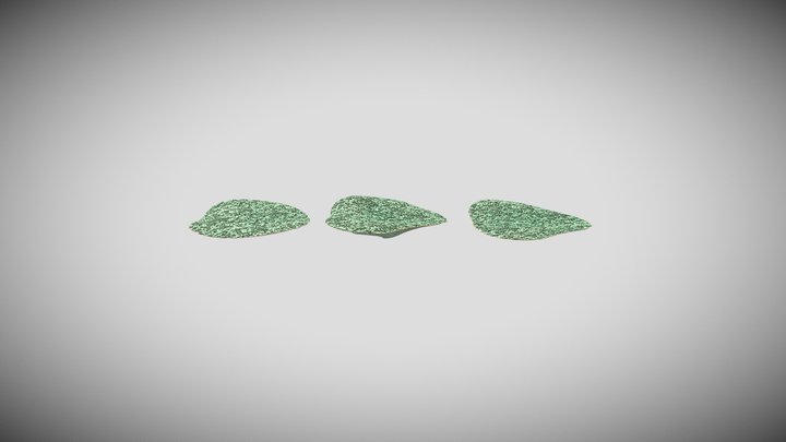 Plate Coral 3D Model