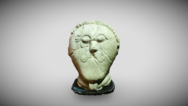 The head of a Celt from Mšecké Žehrovice 3D Model