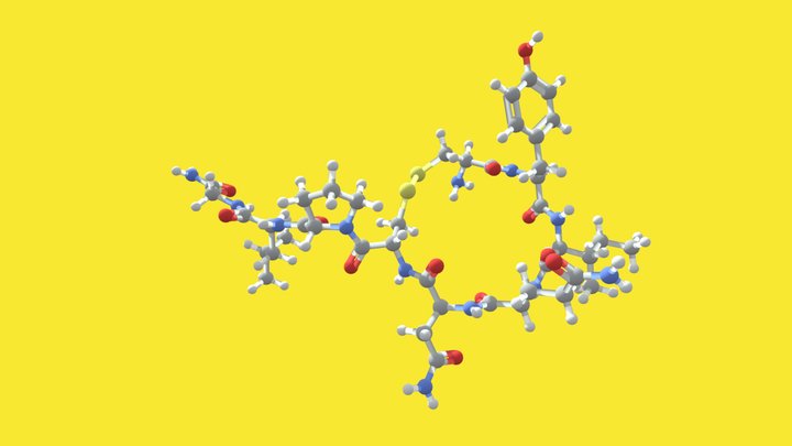 Oxytocin Hormone Molecule 3D Model