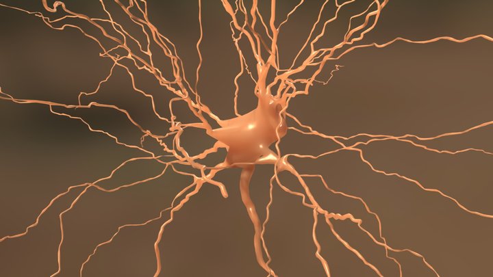 Neuron dendrite 3D Model