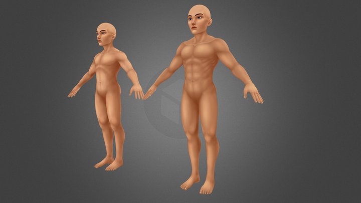 Male Muscular Base Model 3D Model