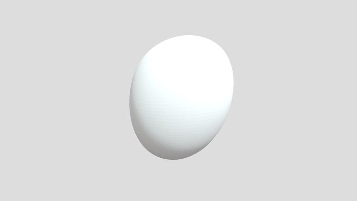 Potato Mesh 3D Model