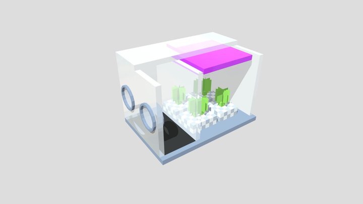 Anglais spaceberies 3D Model