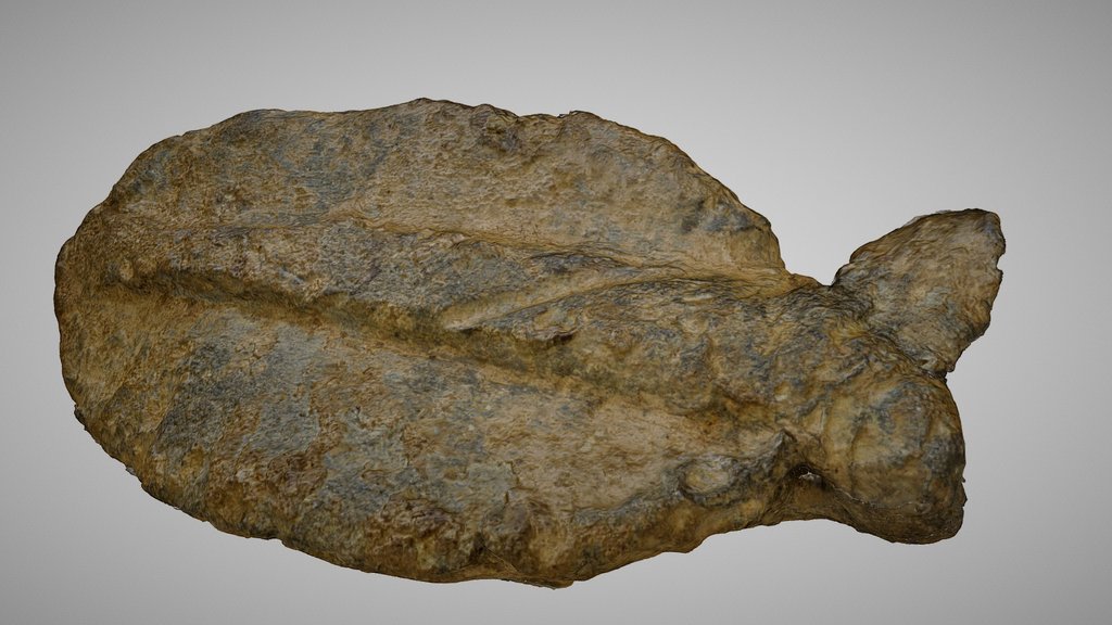 25-vi. Leaden Leaf