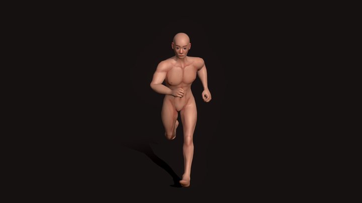 Body Base 3D Model