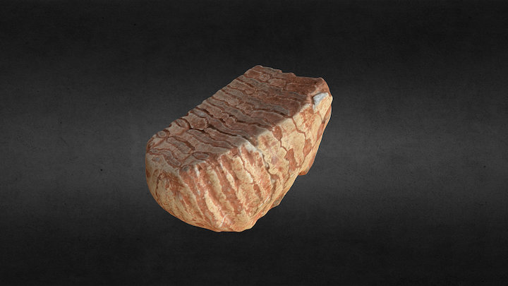 Mammoth tooth 3D Model
