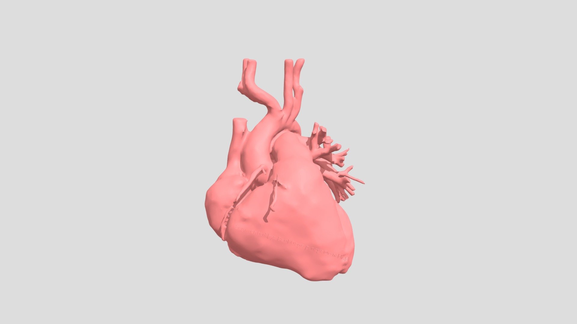 Heart01