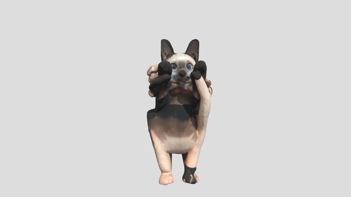 Meong Nana 3D Model