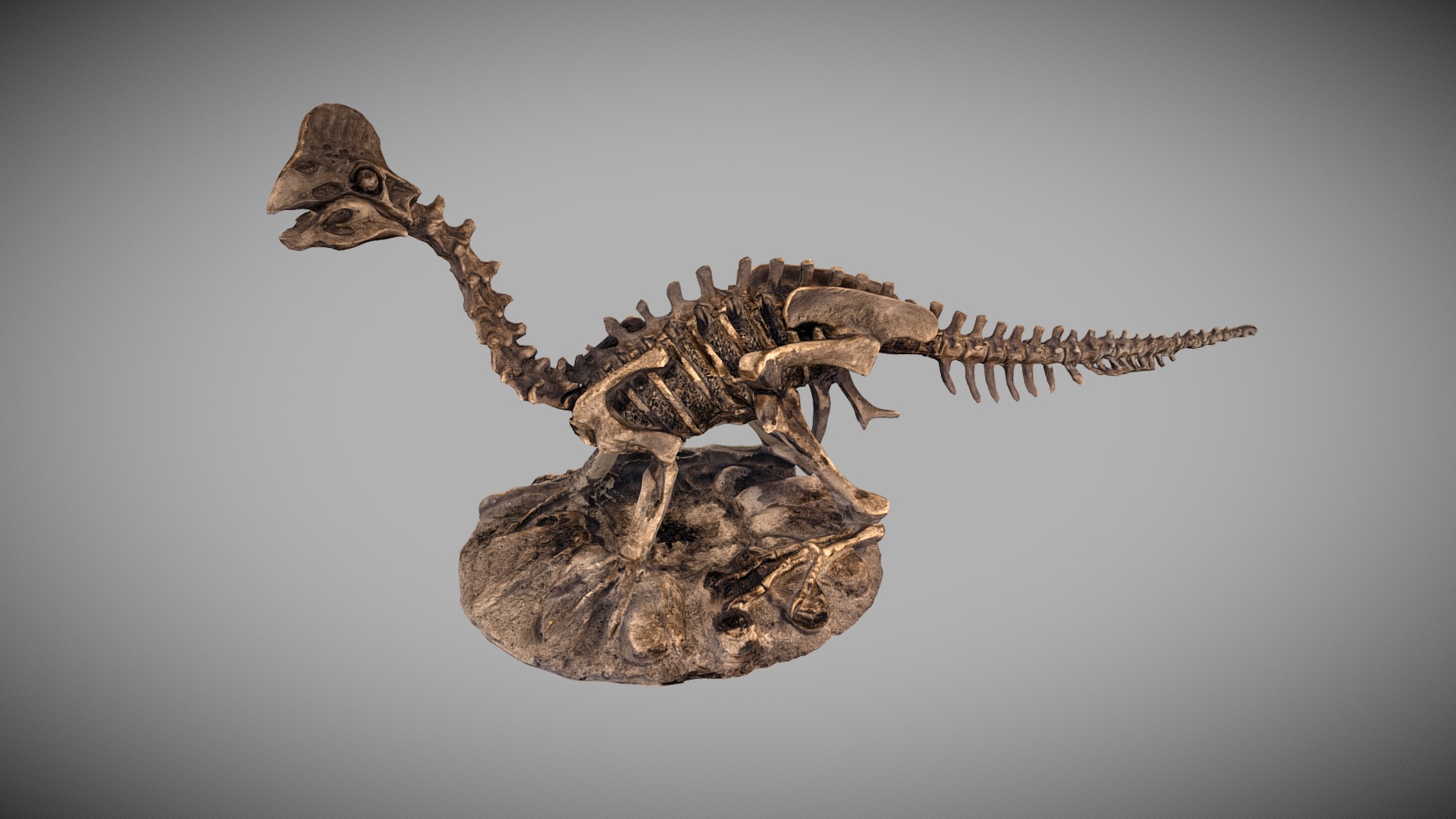 3D model Dinosaur Fossil Statue - This is a 3D model of the Dinosaur Fossil Statue. The 3D model is about a small statue of a lizard.