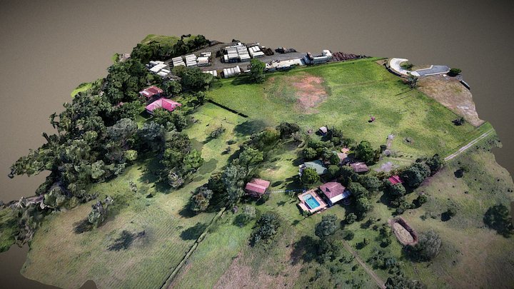Acacias Meta | 3D 3D Model