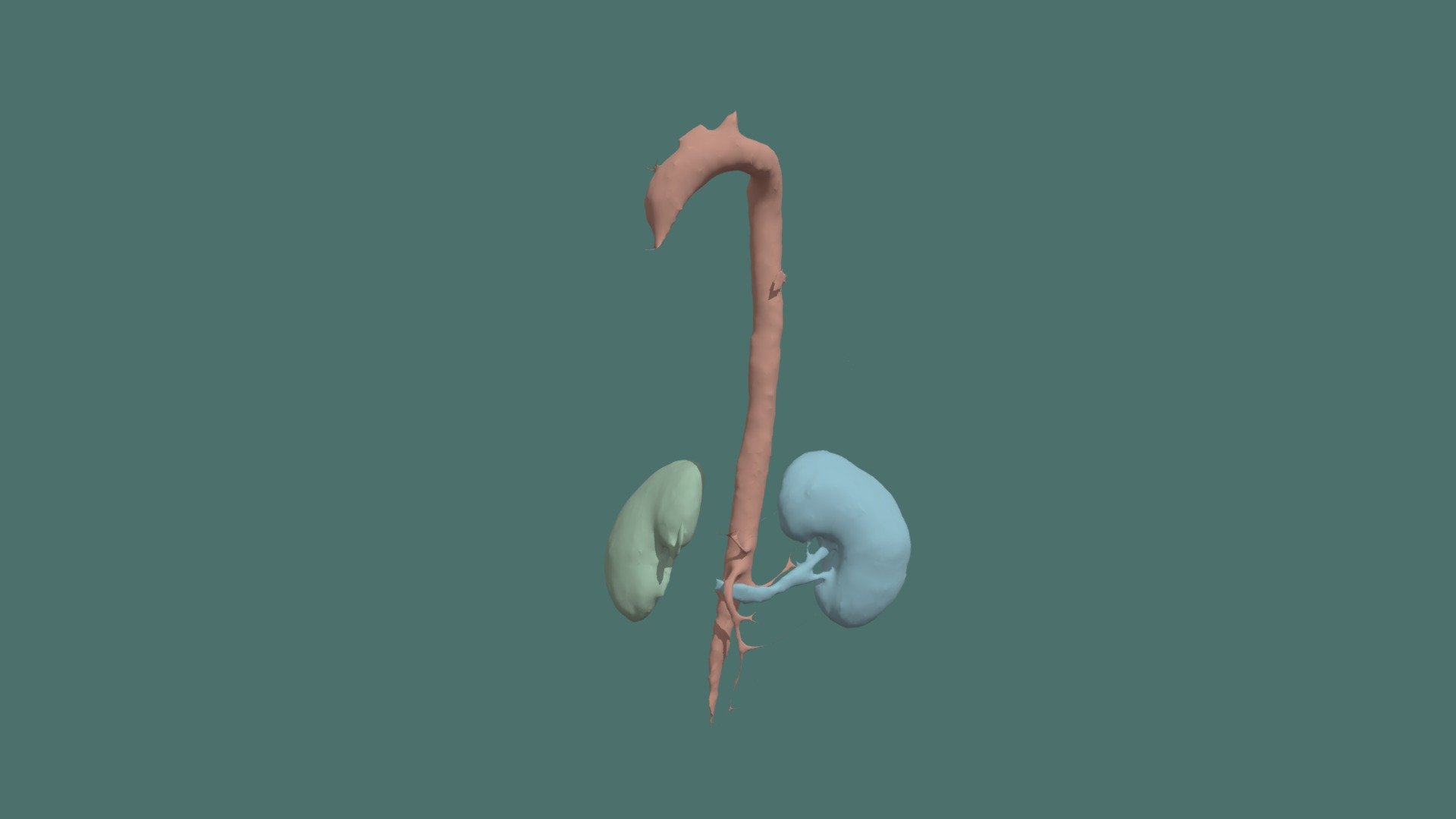 CTACardio Segmentations