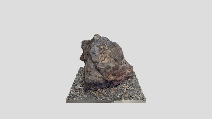 Lanzarote lava rock with green olivine mineral
