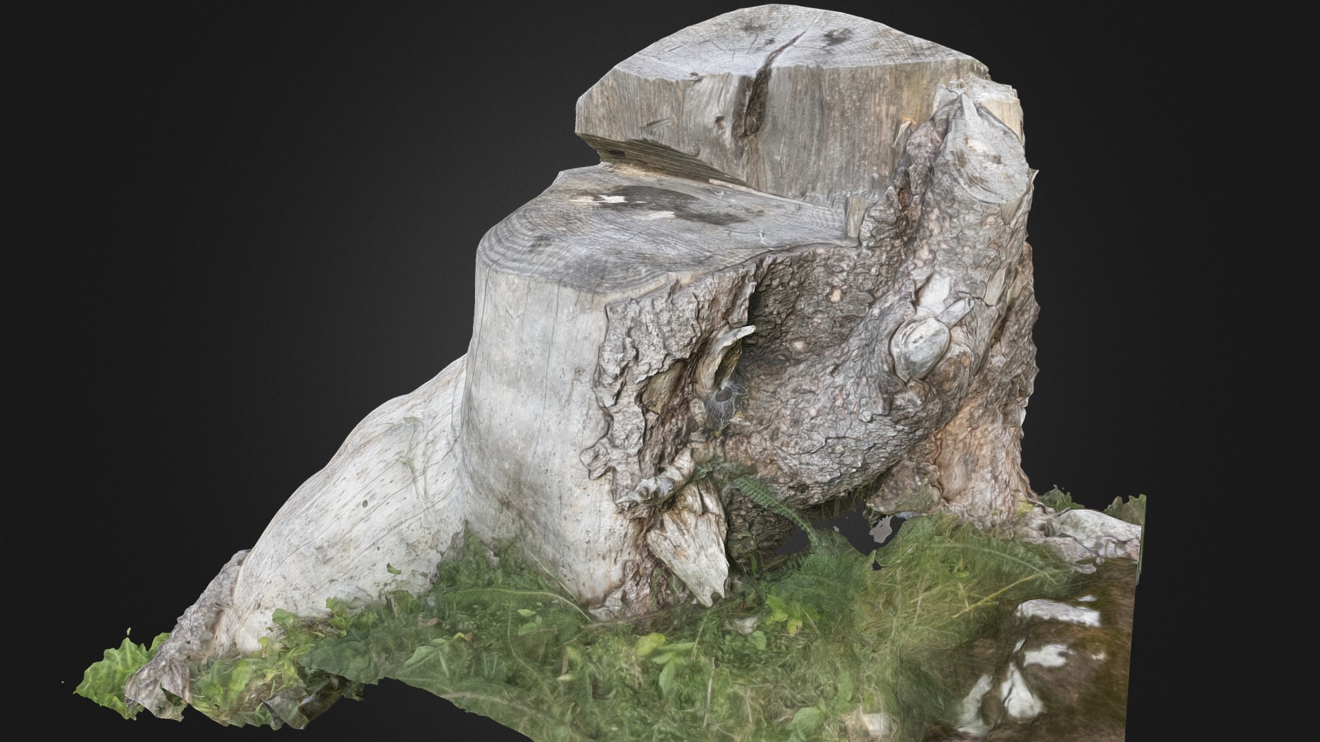 3D model Souche, parc naturel régional Gruyère, Suisse - This is a 3D model of the Souche, parc naturel régional Gruyère, Suisse. The 3D model is about a rock formation with a face carved into it.