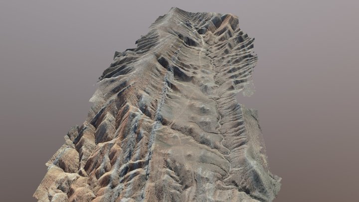 model 3D Model