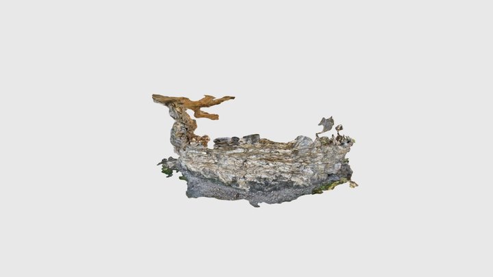 Cabbage Rock 3D Model