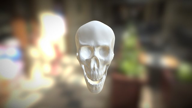 Sculpted Skull 3D Model
