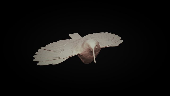 Treparriscos 3D Model