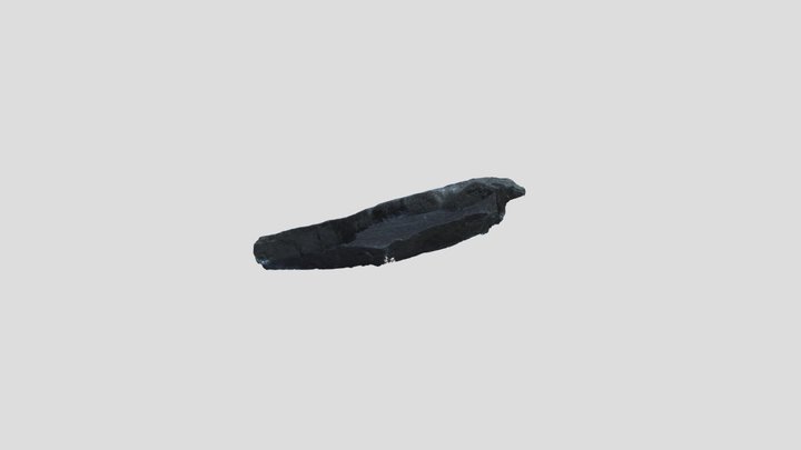 Anchisauripus 2 3D Model