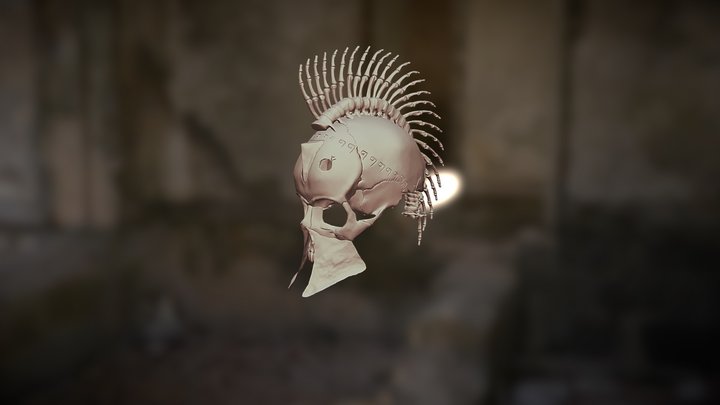 Spartanskull 3D Model