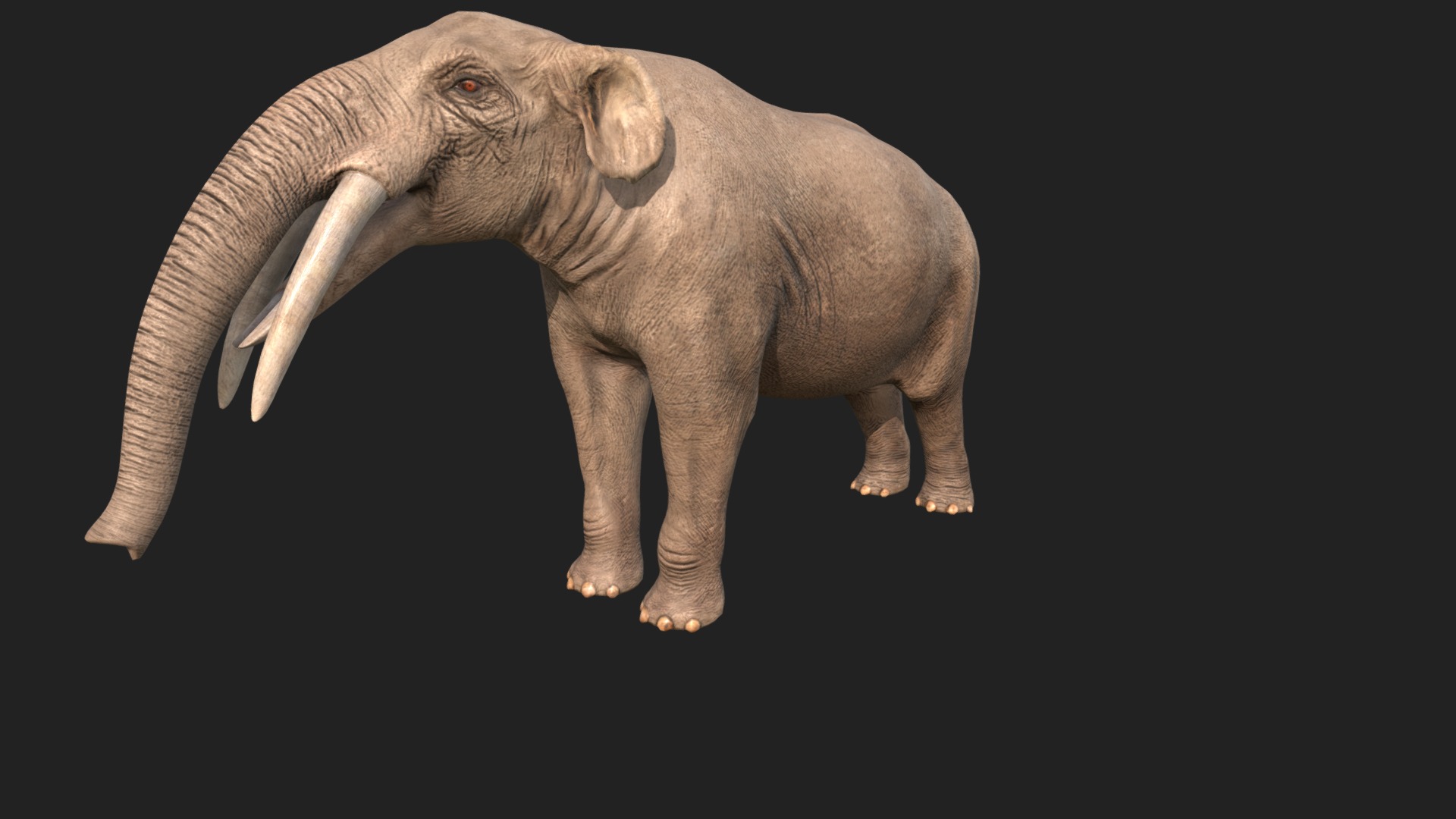 3D model Gomphotherium atavus - This is a 3D model of the Gomphotherium atavus. The 3D model is about a small elephant with tusks.