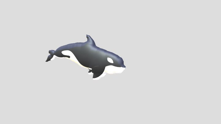 ikan hiu 3D Model