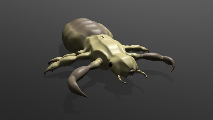 Piojo Low Poly 3D Model