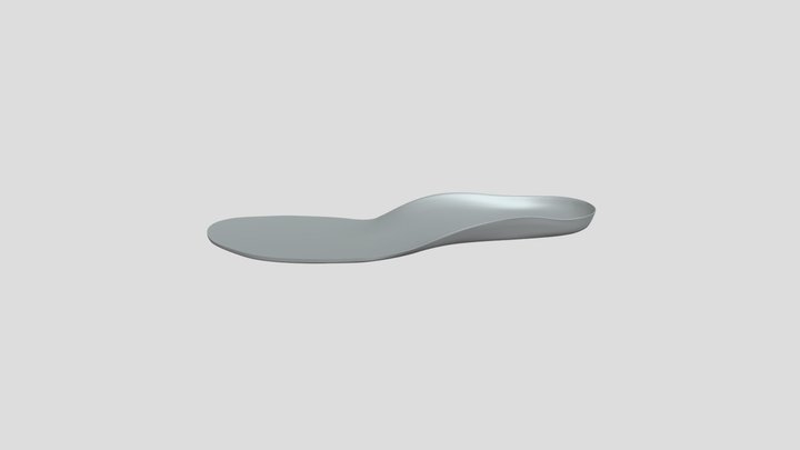 Insole_2022 3D Model