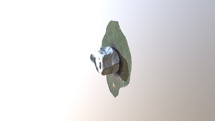 Rock 3D Model