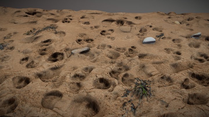 Footprints in sand, Joss Bay 3D Model