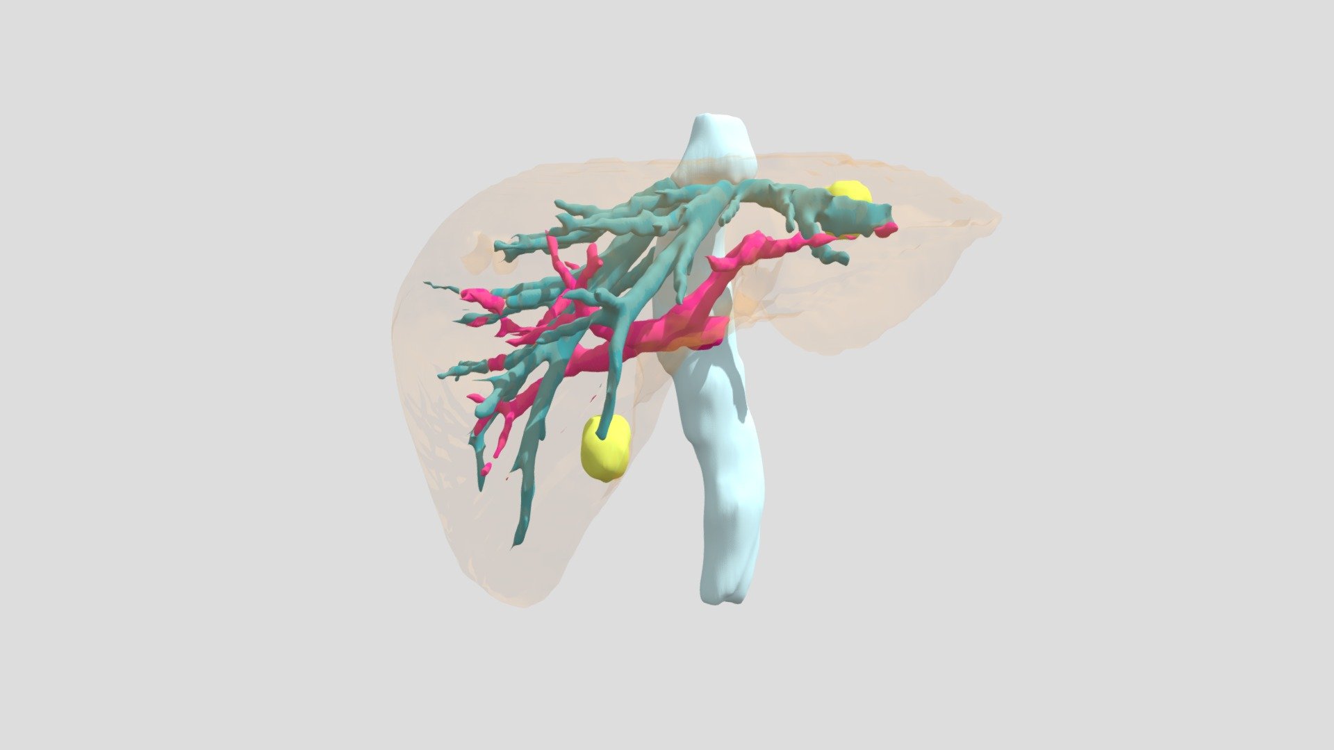 25.11.04.14 - 3D model by Keyur Radiya (@keyurradia) [f6ac9e8] - Sketchfab