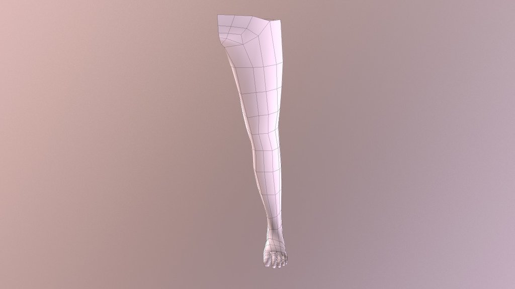 Leg Base Mesh - 3D model by TacticalMinionz [f6ae541] - Sketchfab