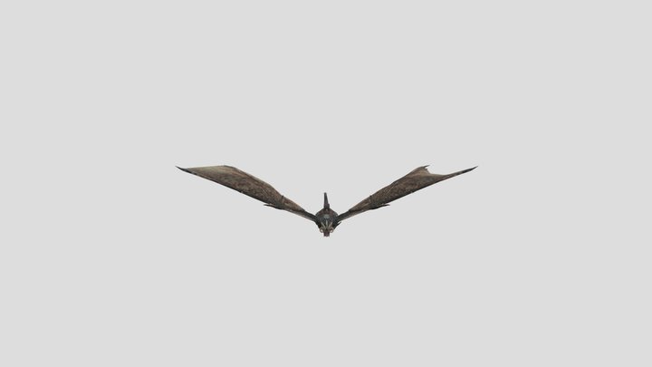 dragon_fly 3D Model