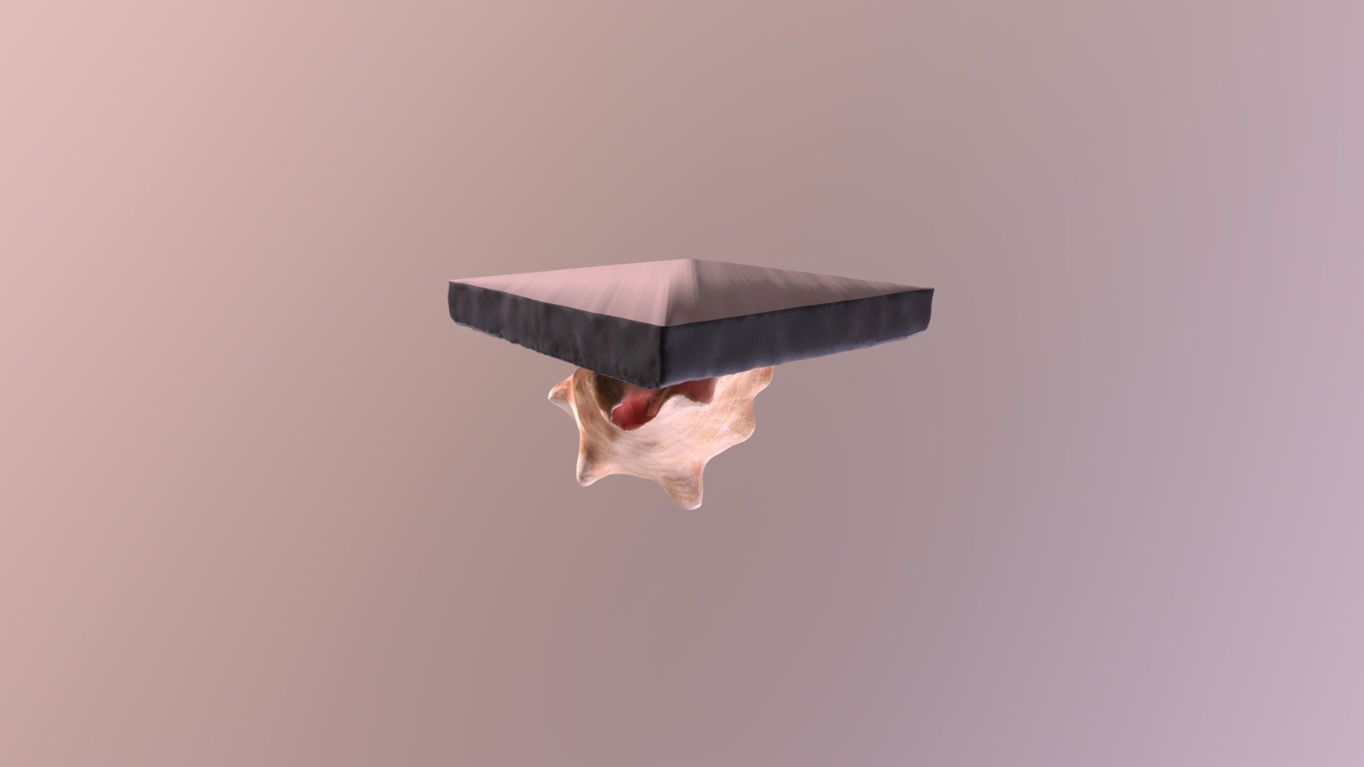 Freeform scan example
