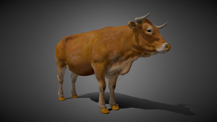 Animated Cow 3D Model 3D Model